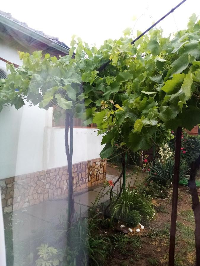 Chergata Guest House Zheglitsa Exterior photo